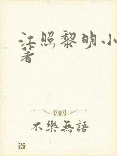 江照黎明小说原著