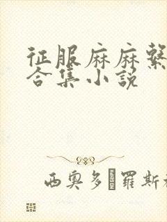 征服麻麻系列大合集小说