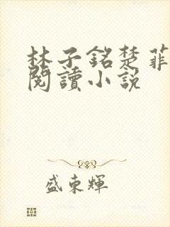 林子铭楚菲免费阅读小说