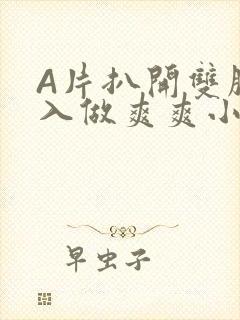 A片扒开双腿进入做爽爽小说