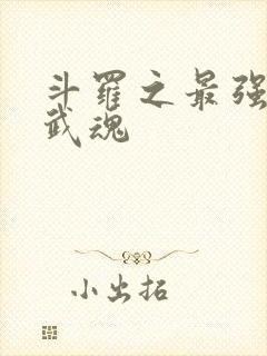 斗罗之最强治疗武魂