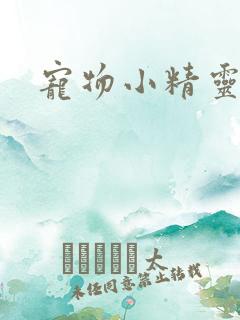 宠物小精灵之梦