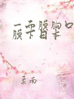 一面膜胸口一面膜下日本