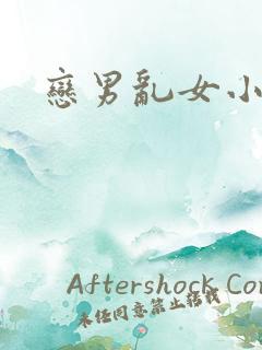 恋男乱女小说