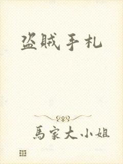 盗贼手札