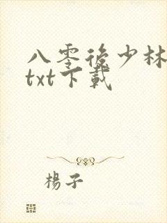 八零后少林方丈txt下载