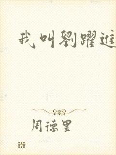 我叫刘跃进下载