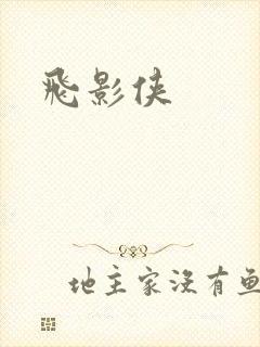 飞影侠