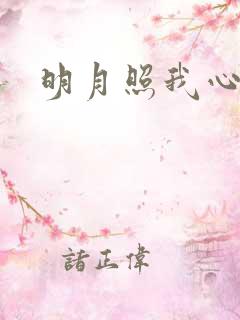 明月照我心小说