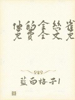 他的金丝雀小说免费全文免费阅读