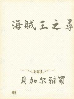 海贼王之寻亲记