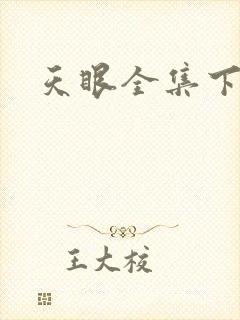 天眼全集下载