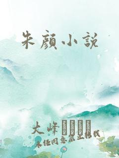 朱颜小说