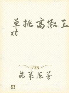 单挑高傲王子txt