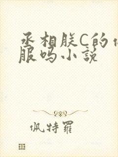 丞相朕C的你舒服吗小说