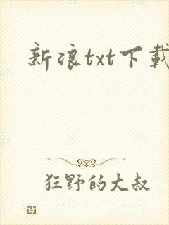 新浪txt下载