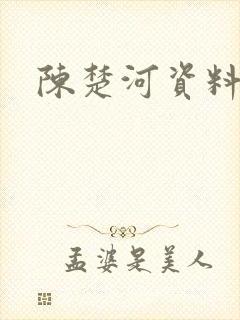 陈楚河资料