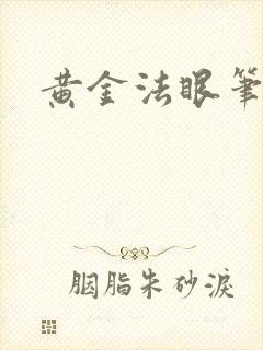 黄金法眼笔趣阁