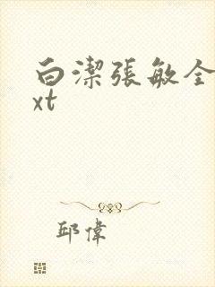 白洁张敏全集txt