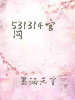 531314官网