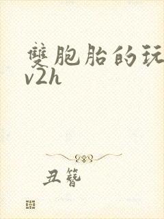 双胞胎的玩具1v2h