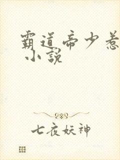 霸道帝少惹不得 小说