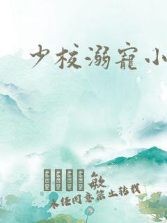 少校溺宠小小妻