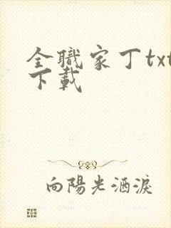 全职家丁txt下载