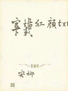 官场红颜txt下载