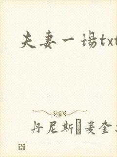 夫妻一场txt
