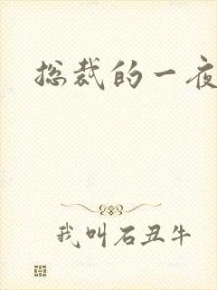 总裁的一夜情人