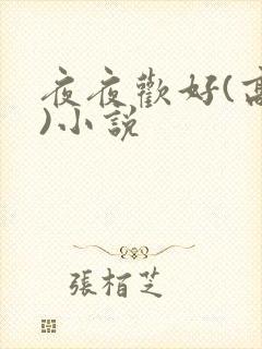 夜夜欢好(高h)小说