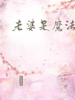 老婆是魔法少女