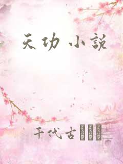 天功 小说