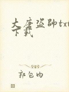 大唐盗帅txt下载