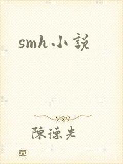 smh小说