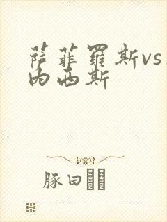 萨菲罗斯vs杰内西斯