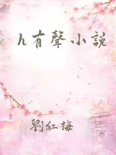 h有声小说
