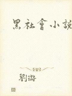 黑社会小说下载