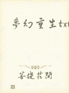 梦幻重生txt
