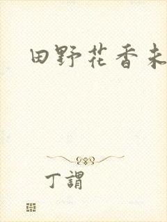 田野花香未删节