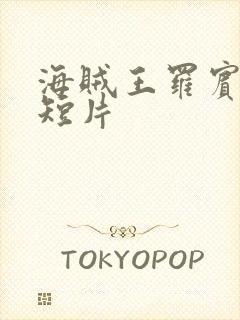 海贼王罗宾被h短片