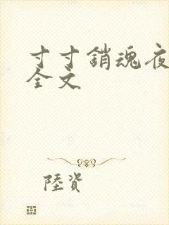 寸寸销魂夜春光全文