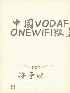 中国VODAFONEWIFI粗暴APP