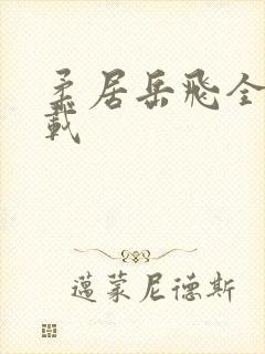 柔居岳飞全传下载