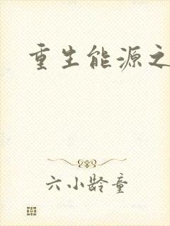 重生能源之王