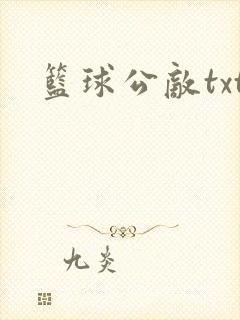 篮球公敌txt