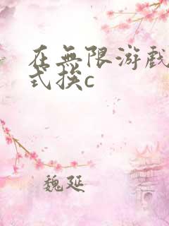 在无限游戏里花式挨c