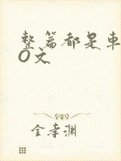 整篇都是车的PO文