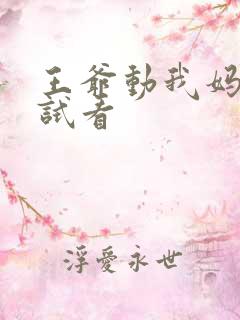 王爷动我妈咪试试看